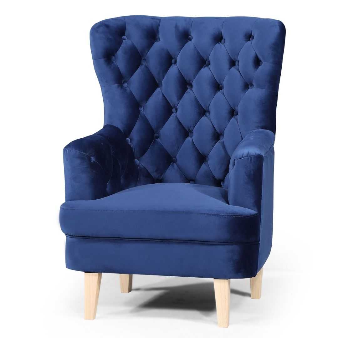 BT Elisa Velvet Upholstered Accent Chair
