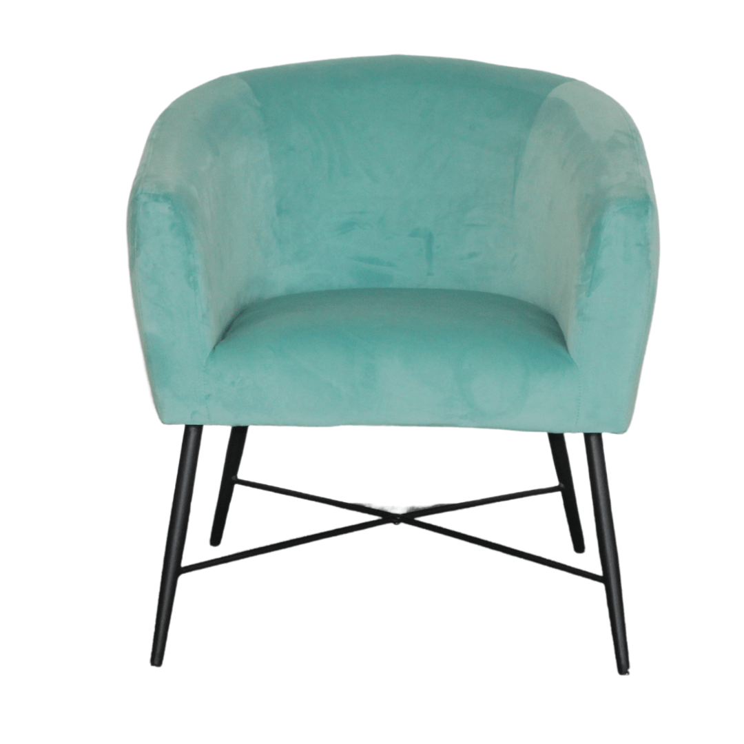 BT Crewe Velvet Upholstered Accent Chair