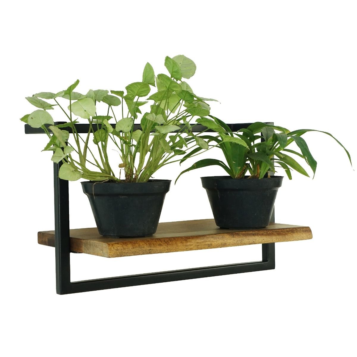 CR Live Edge Shelf 45 cm