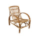 CR Longreach Rattan Verandah Chair