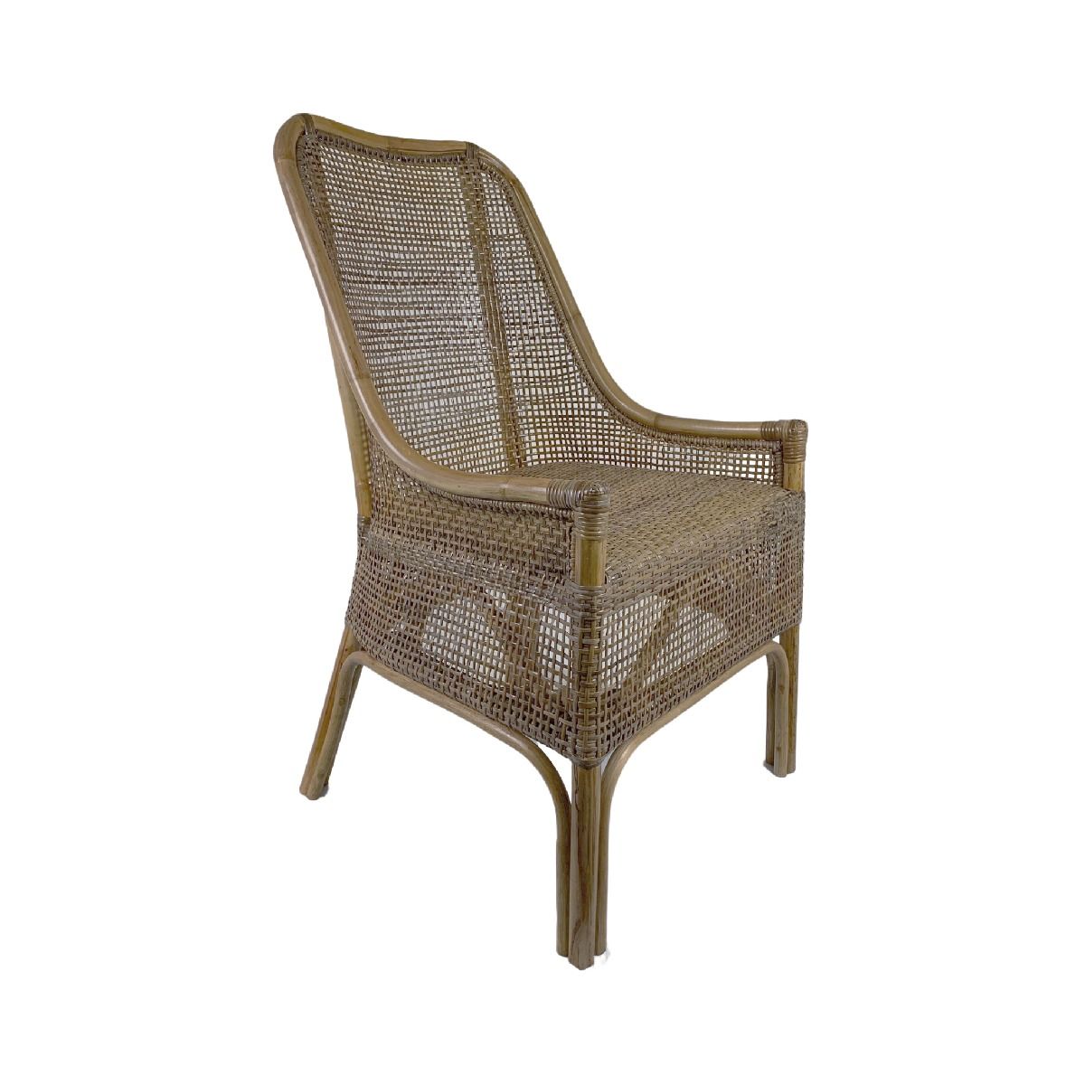 CR Albany Rattan Armchair
