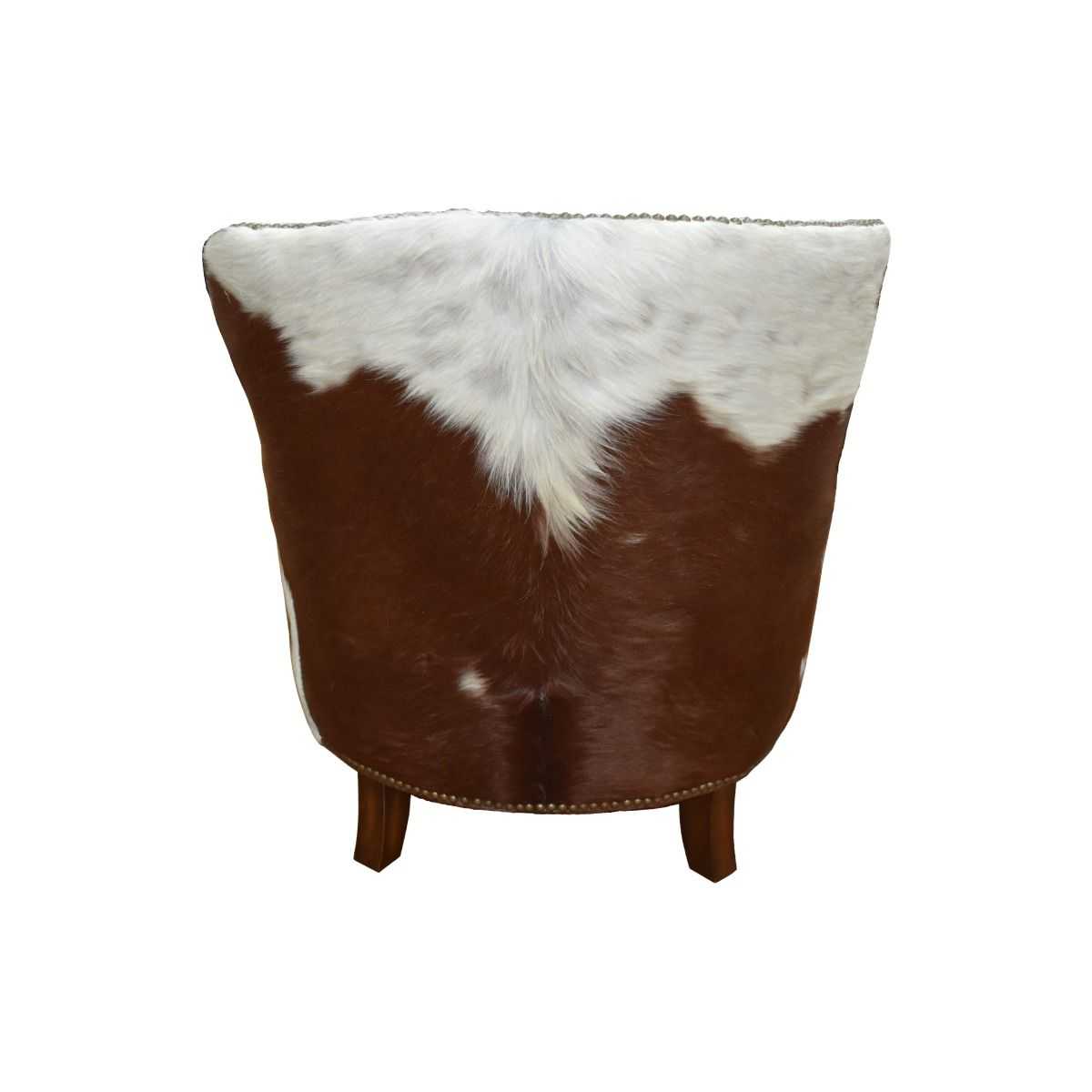 CR Professor Leather Armchair with Latte-Brown/White Edge