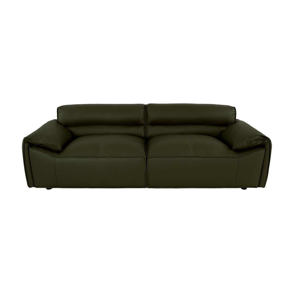 VI Zander Leather 2 Seaters Sofa - Tan and Olive